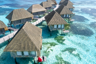 Travel Agents
