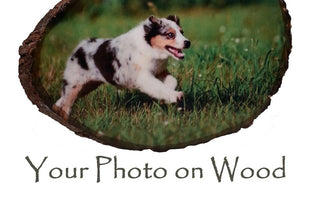my-wood-photo